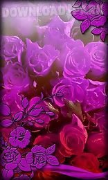 purple flowers live wallpaper