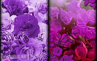 Purple flowers live wallpaper