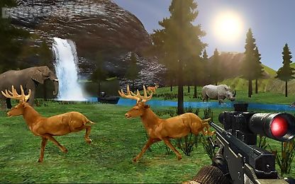 stag deer hunting 3d