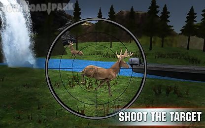 stag deer hunting 3d