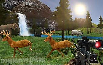 Stag deer hunting 3d