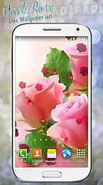 pink rose live wallpaper hd