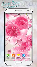 pink rose live wallpaper hd