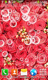 roses live wallpapers