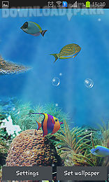 aquarium and fish
