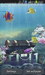 aquarium and fish
