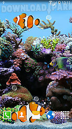 coral fish 3d