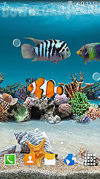 coral fish 3d