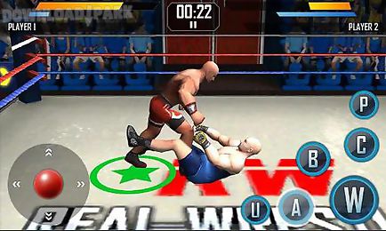 real wrestling 3d