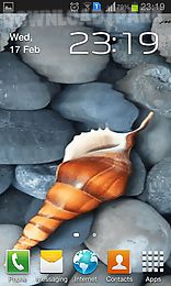seashell by memory lane