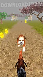 animal run - rooster