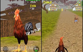 Animal run - rooster