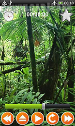 jungle sounds - nature sounds