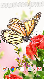 butterfly by fun live wallpapers