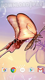 butterfly by fun live wallpapers