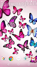 butterfly by fun live wallpapers