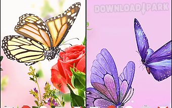 Butterfly by fun live wallpapers