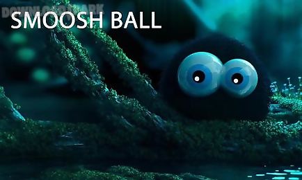 smoosh ball