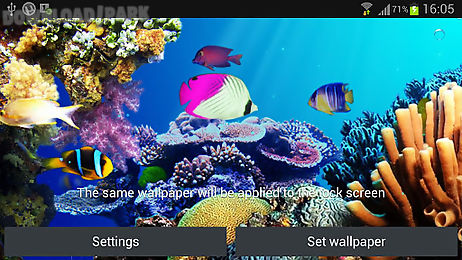 under water live wallpaper