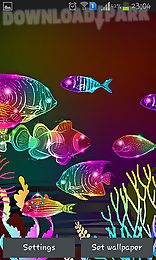 neon fish