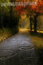 rain in autumn live wallpaper