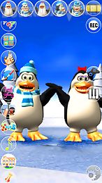 talking pengu & penga penguin