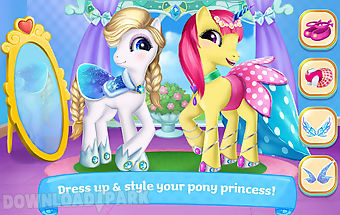 Pony princess academy