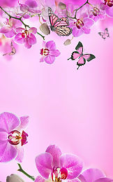 pink flowers live wallpaper