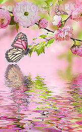 pink flowers live wallpaper