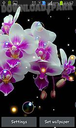 orchid hd