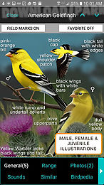 ibird lite free guide to birds