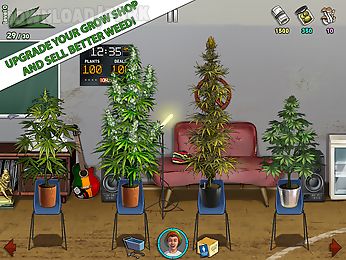 weed firm 2: back to college