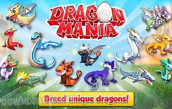 Dragon mania
