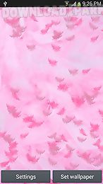 pink feather