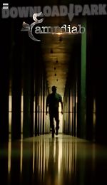 amr diab