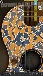 ukulele - hawaiian guitar