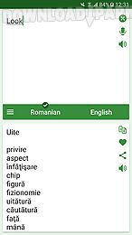 romanian - english translator