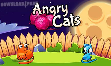 angry cats