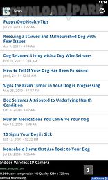 dog seizures treatment