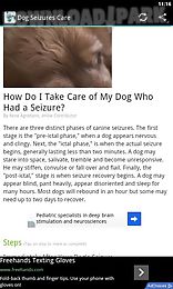 dog seizures treatment