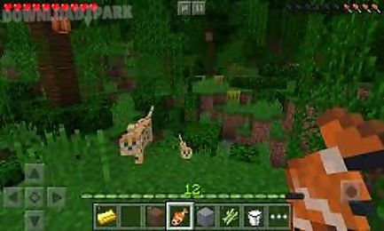 minecraft 3d new pocket edition