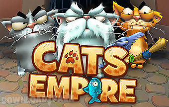 Cats empire