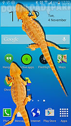 lizard in phone funny joke
