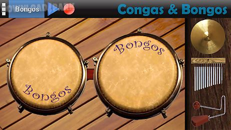 congas & bongos