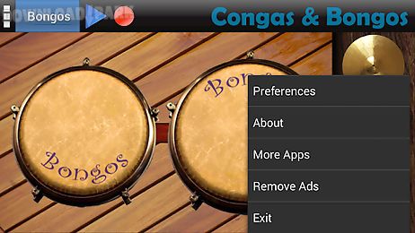 congas & bongos