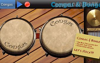 Congas & bongos
