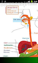 anatomy guide (pocket book)