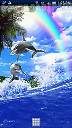 dolphin rainbow trial