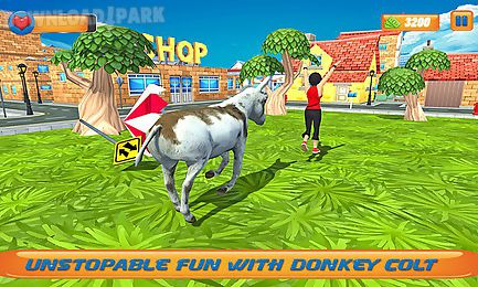 donkey world adventure