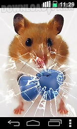 funny hamster: cracked screen